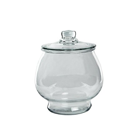 Syndicate Sales 1 Gallon Footed Terrarium w/ Lid, Clear